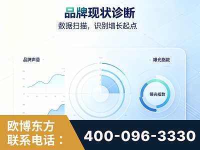 峨眉山-品牌现状诊断